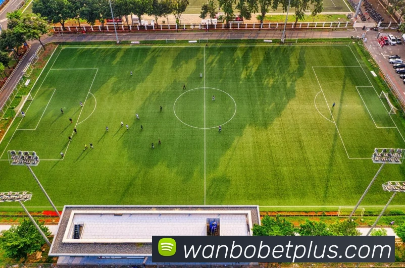 万博体育平台生态图