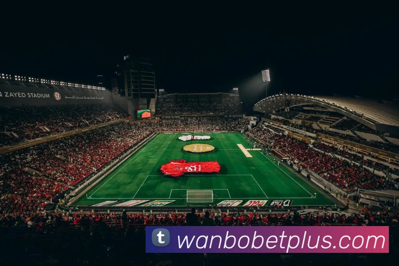 万博体育APP 封面图