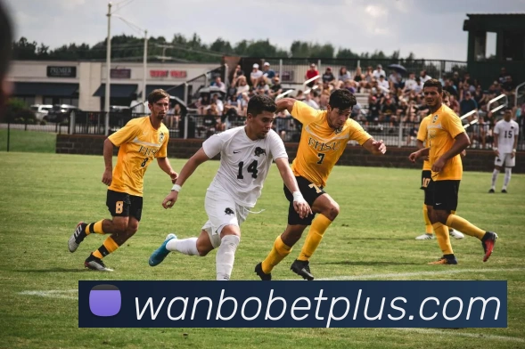 数据防护可视化