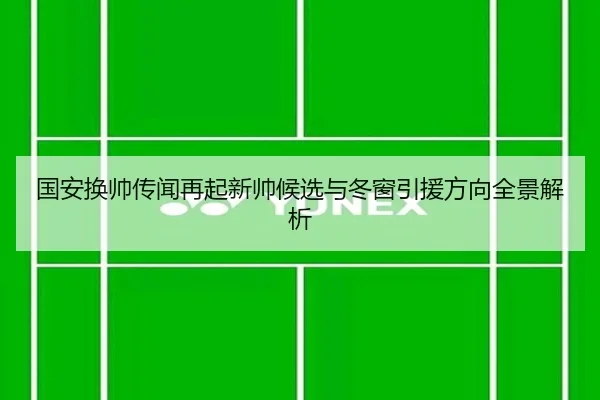 国安换帅传闻再起新帅候选与冬窗引援方向全景解析